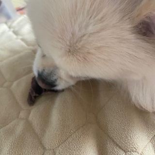 별이빛나길님이 올린 리뷰 사진 3