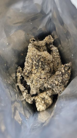 오봉산꽃부각 [만나식품] 오봉산 꽃부각 3가지 맛(오리지널, 새우맛, 매운고추맛) — 5점을 준 리뷰어가 2023년 1월 올린 사용 사진