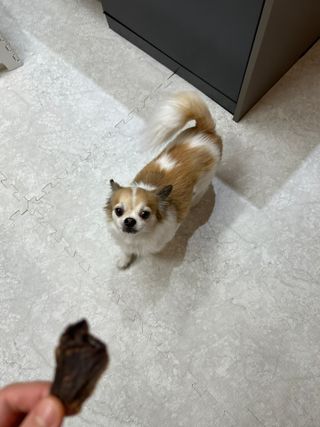 장효정님이 올린 리뷰 사진 3