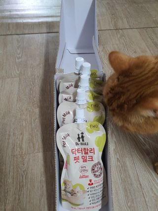 dolee님이 올린 리뷰 사진 1
