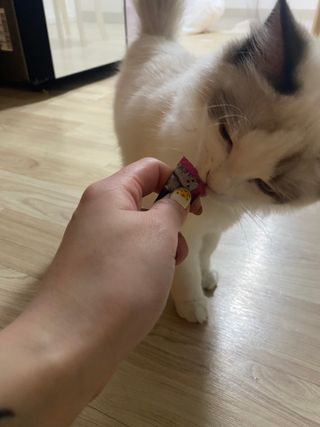 율집사님이 올린 리뷰 사진 4