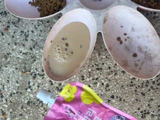 둠둠힝님이 올린 리뷰 사진 1