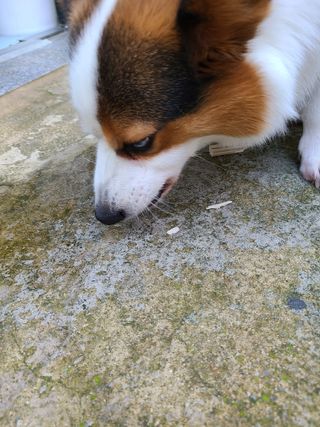 글라라5205님이 올린 리뷰 사진 3