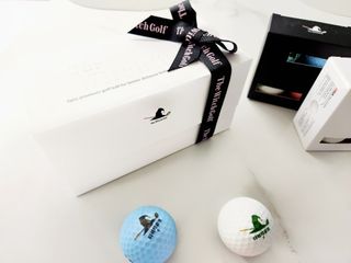 더위치골프(thewitchgolf) 프리미엄 골프 공 더위치골프 매트 펄 컬러의 3피스볼 더위치골프 골프볼 선물세트 — 5점을 준 리뷰어가 2023년 9월 올린 사용 사진