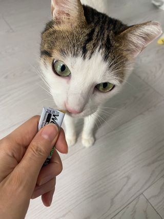 이붕선생님이 올린 리뷰 사진 4