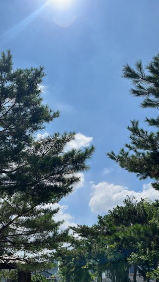 김연주님이 올린 리뷰 사진 3