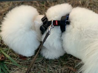 용용맹님이 올린 리뷰 사진 2