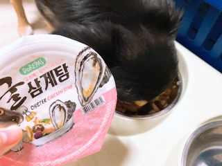 요블리님이 올린 리뷰 사진 1