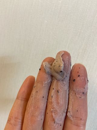 박정우님이 올린 리뷰 사진 2