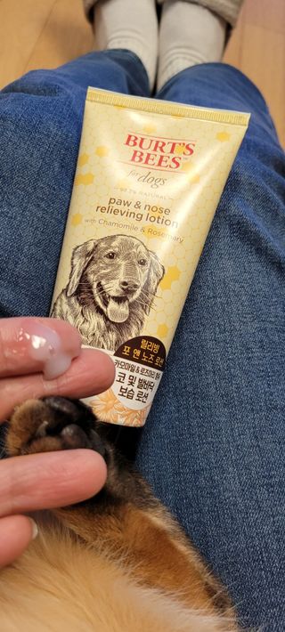 반짝님이 올린 리뷰 사진 3