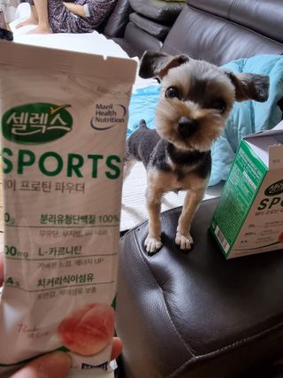 후프리져님이 올린 리뷰 사진 4