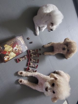 모모맘님이 올린 리뷰 사진 1