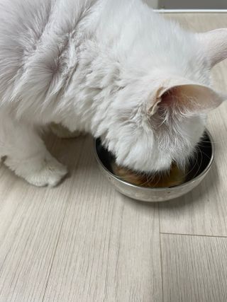 Ssung님이 올린 리뷰 사진 1