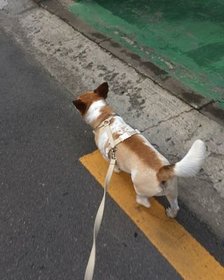 김도영님이 올린 리뷰 사진 2