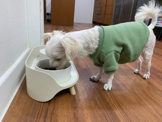수성님이 올린 리뷰 사진 1