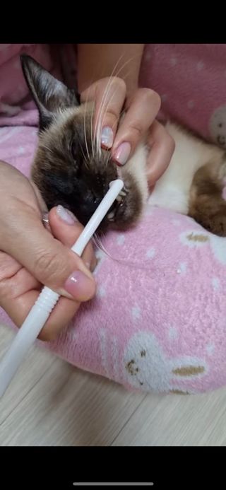 dole님이 올린 리뷰 사진 3