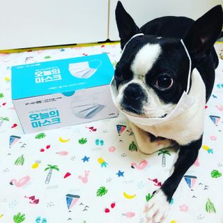 뱁새♥︎님이 올린 리뷰 사진 4