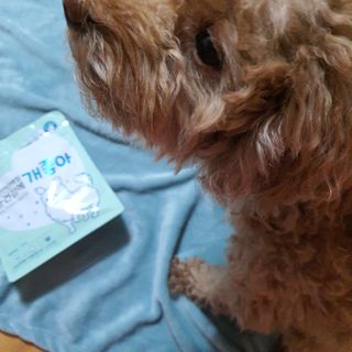 My Pet Care 천연단백질 눈건강에 개좋아 — 5점을 준 리뷰어가 2020년 12월 올린 사용 사진