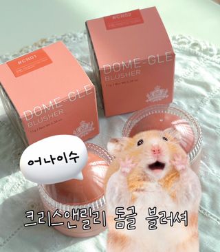 최정현님이 올린 리뷰 사진 1