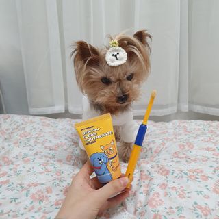 솜희님이 올린 리뷰 사진 2