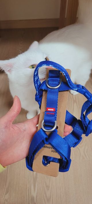 대박이님이 올린 리뷰 사진 1