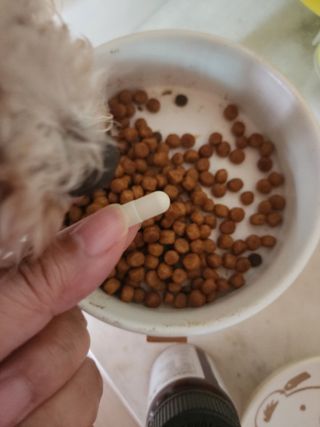 햇님달님님이 올린 리뷰 사진 4