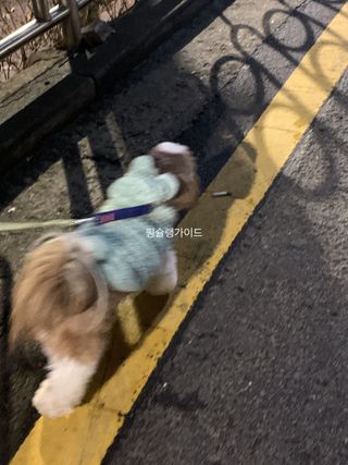 박코끼리님이 올린 리뷰 사진 2