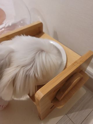 뽀블리님이 올린 리뷰 사진 4