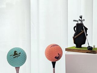 더위치골프(thewitchgolf) 프리미엄 골프 공 더위치골프 매트 펄 컬러의 3피스볼 더위치골프 골프볼 선물세트 — 5점을 준 리뷰어가 2023년 9월 올린 사용 사진