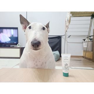 단발모리님이 올린 리뷰 사진 1