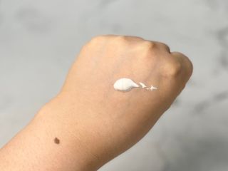 은치즈님이 올린 리뷰 사진 2