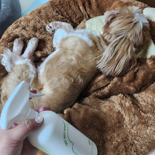 민준맘님이 올린 리뷰 사진 2