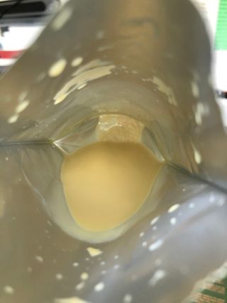 자연에온 마시는 프로틴 고함량 균형단백질 음료 포스틴 125ml 10개입 1BOX — 4.5점을 준 리뷰어가 2021년 3월 올린 사용 사진