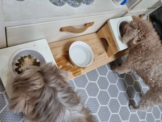 진쓰님이 올린 리뷰 사진 4