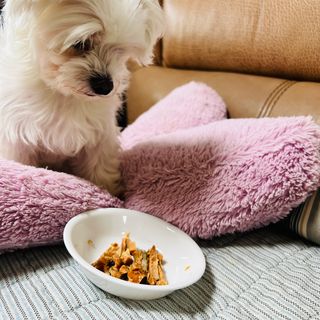 뽀히님이 올린 리뷰 사진 1