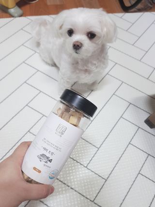 두부님이 올린 리뷰 사진 1