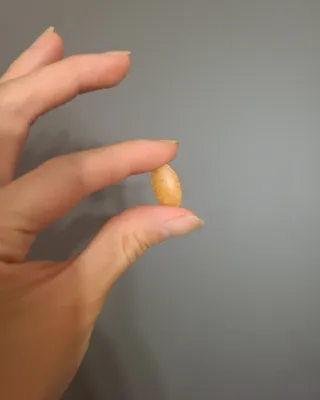 타리아가씨님이 올린 리뷰 사진 4
