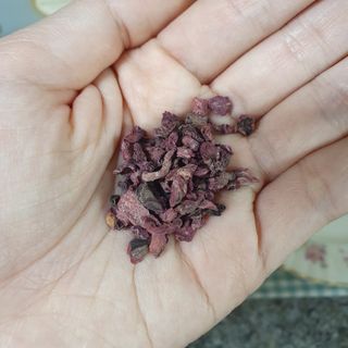 마시다 매혹적인 붉은 빛이 입안 가득히, 비트루트차 — 4점을 준 리뷰어가 2021년 3월 올린 사용 사진