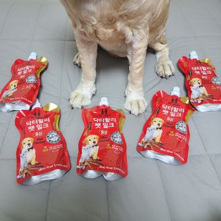 제니맘님이 올린 리뷰 사진 2