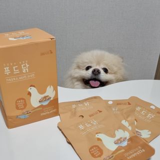 도그퓨어 푸드닭 강아지 닭고기 통살 애견간식 오리지널/차전자피/초록입홍합 — 5점을 준 리뷰어가 2021년 11월 올린 사용 사진