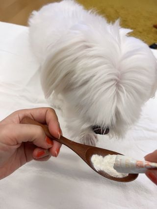 노블리스님이 올린 리뷰 사진 2