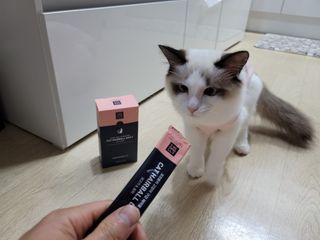 ssun0514님이 올린 리뷰 사진 4
