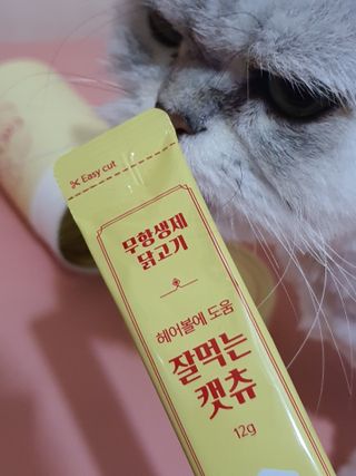 페페로니 잘 먹는 캣츄 - 무항생제 닭고기 24개입 — 5점을 준 리뷰어가 2021년 7월 올린 사용 사진