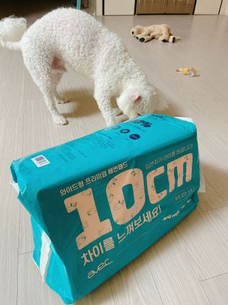 아베크 펫 와이드 프리미엄 중형 애견 강아지 배변 패드 54매 1팩 45g — 4.5점을 준 리뷰어가 2021년 7월 올린 사용 사진