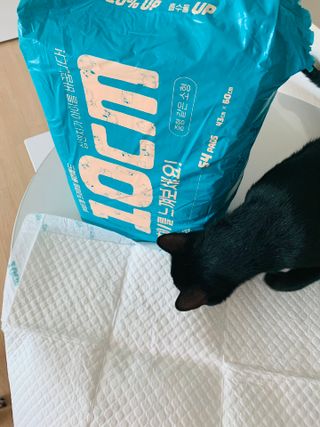 오둥이맘님이 올린 리뷰 사진 2