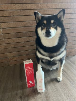 [댕모어 샴푸 2종] 댕샴푸 / 퍼피샴푸  2종 세트 (300ml) — 5점을 준 리뷰어가 2023년 10월 올린 사용 사진