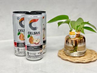 셀시어스 오리지널 325ml 에너지 비타민 피트니스 드링크(24can) 다이어트 음료 — 5점을 준 리뷰어가 2022년 5월 올린 사용 사진
