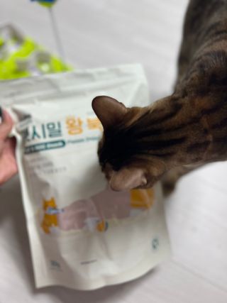 [펫시밀] 원물그대로 영양듬뿍 진공동결건조 치킨텐더100g, 열빙어트릿100g 강아지 고양이 간식 — 5점을 준 리뷰어가 2023년 5월 올린 사용 사진