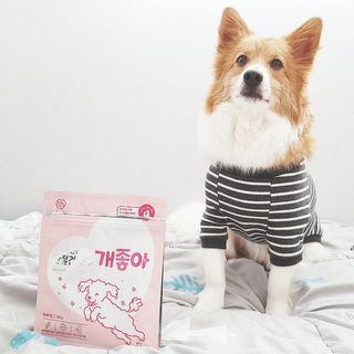 My Pet Care 천연단백질 관절건강에 개좋아 — 4.5점을 준 리뷰어가 2021년 1월 올린 사용 사진