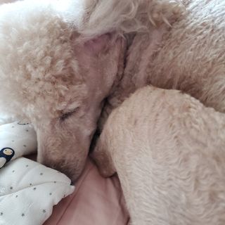 아영마미쓰님이 올린 리뷰 사진 2